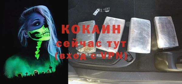 амф Болотное
