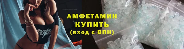 амф Болотное