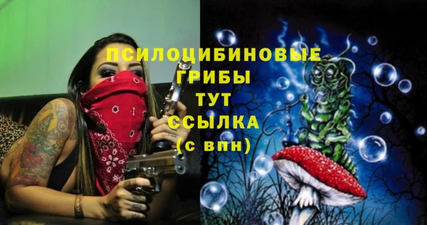 дурь Нея