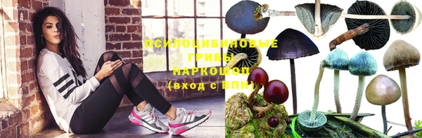 трава Новозыбков