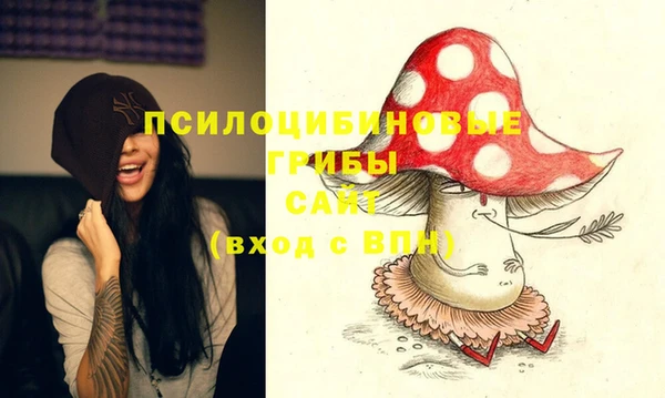 дживик Новодвинск