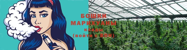 трава Новозыбков