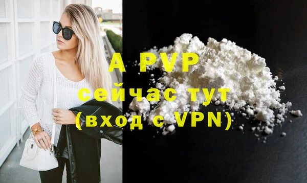 шишки Болохово