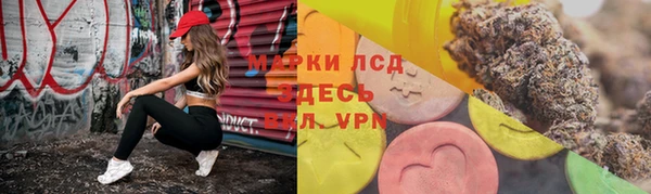 дживик Новодвинск