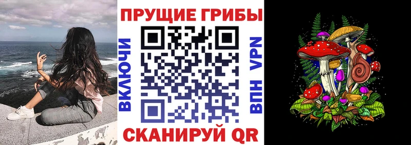 Псилоцибиновые грибы ЛСД  Красный Холм 
